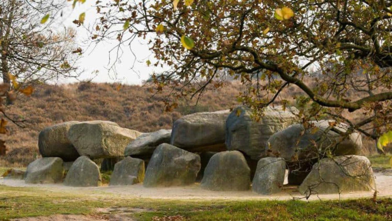 Vakantiepark De Toffe Peer Ruinerwold Εξωτερικό φωτογραφία